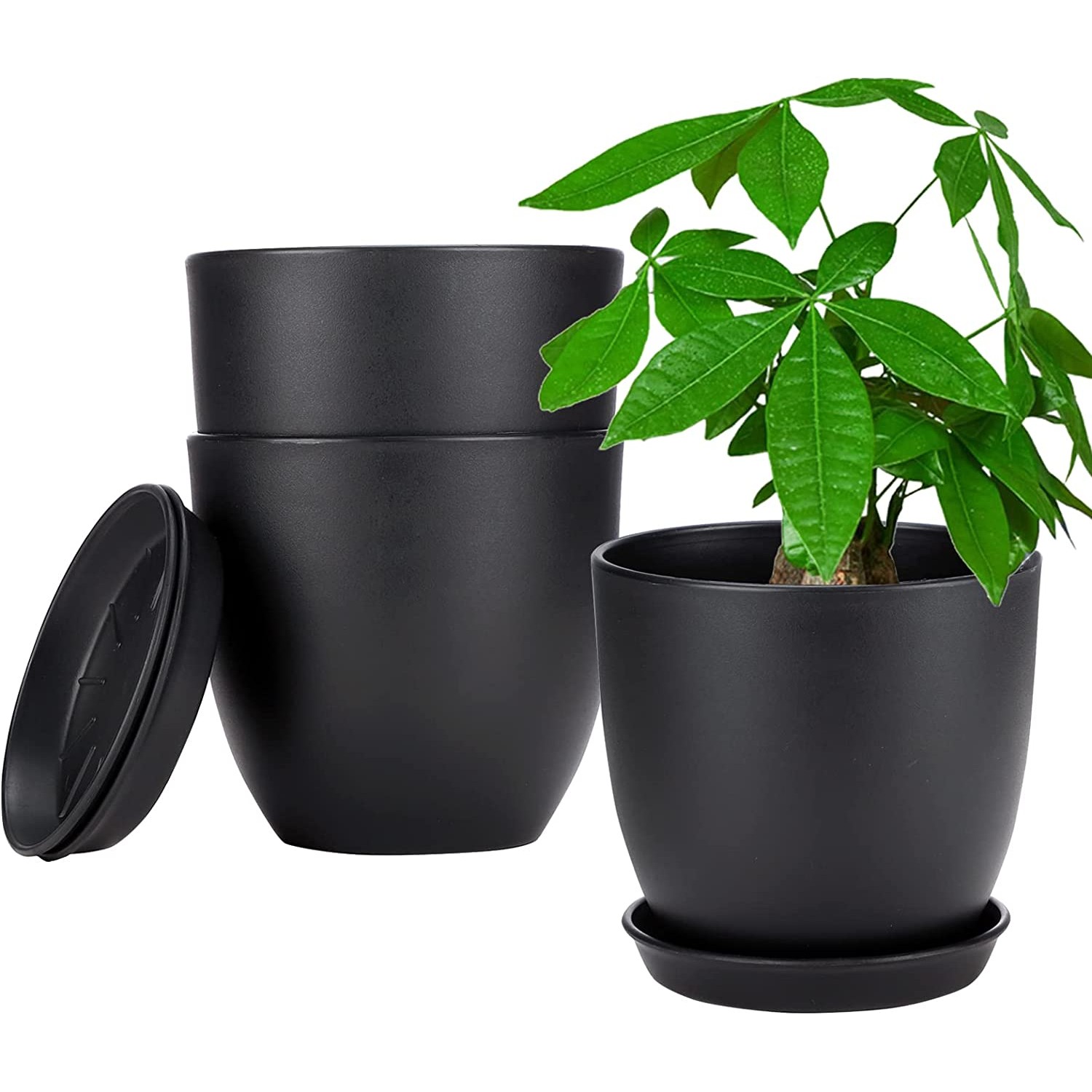 https://www.suream.life/image/cache/catalog/GREANER-Houseplant-Pots-and-Planters-63-Inch-Plant-Pots-with-Drainage-Ho/GREANER-Houseplant-Pots-and-Planters-63-Inch-Plant-Pots-with-Drainage-Holes-and--1500x1500.jpg