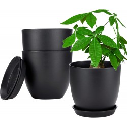  2pcs Houseplant Pots and Planters, 6.3 Inch Plant Pots with Drainage Holes and Saucer for All House Planting Flower Succulents Herbs Seedling, Decorative Plastic Window Box Nursery Pot, 