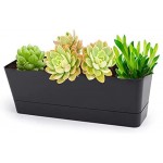 12x3.8 Inch Herb Planters, Greaner 1 Pack Rectangle Window Boxes with Tray, Indoor Succulent Cactus Mint Plastic Pot for Windowsill , Balcony, Office, Outdoor Garden - Black