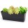 12x3.8 Inch Herb Planters, Greaner 1 Pack Rectangle Window Boxes with Tray, Indoor Succulent Cactus Mint Plastic Pot for Windowsill , Balcony, Office, Outdoor Garden - Black