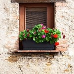 12x3.8 Inch Herb Planters, Greaner 6 Pack Black Rectangle Window Boxes with Tray, Indoor Succulent Cactus Mint Plastic Pot for Windowsill , Balcony, Office, Outdoor Garden