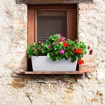 Flower Boxes, Greaner 3 Pack 12x3.8 Inch Rectangle Window Boxes, Herb Planters with Tray, Indoor Succulent Cactus Flowers Plastic Drawable Pot for Windowsill , Garden, Balcony, Office Outdoor (White)