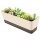 Greaner Planter Windowsill Box, 1 Pack 12x3.8 Inch Herb Rectangle Planter with Tray, Modern Indoor Succulent Cactus Plastic Plant Pot for Windowsill, Garden Balcony, Home Office Outdoor Decoration