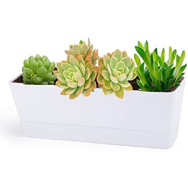 Herb Planter with Tray, Greaner 1 Pack 12x3.8 Inch Rectangle Window Box, Indoor Succulent Flowers Succulent Plastic Pot for Windowsill , Garden, Balcony, Office Outdoor Decoration - White