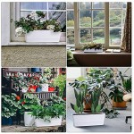 Herb Planter with Tray, Greaner 1 Pack 12x3.8 Inch Rectangle Window Box, Indoor Succulent Flowers Succulent Plastic Pot for Windowsill , Garden, Balcony, Office Outdoor Decoration - White
