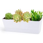 Herb Planter with Tray, Greaner 1 Pack 12x3.8 Inch Rectangle Window Box, Indoor Succulent Flowers Succulent Plastic Pot for Windowsill , Garden, Balcony, Office Outdoor Decoration - White