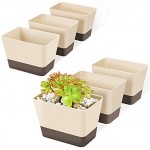 Indoor Planter Pots with Drainage, Greaner 6 Pack 6x3.8 Inch Herb Window Boxes with Saucer, Modern Plastic Plant Flower Succulent Cactus Pots for Windowsill, Garden Balcony, Home Office Outdoor Decor