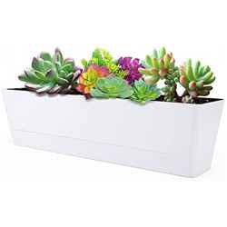 Large Window Boxes Planters, Greaner 1PCS 16x3.8 Inch White Vegetable Herb Planters with Tray, Indoor Succulent Cactus Flowers Plastic Rectangle Pot for Balcony, Office, Garden, Outdoor, Windowsill