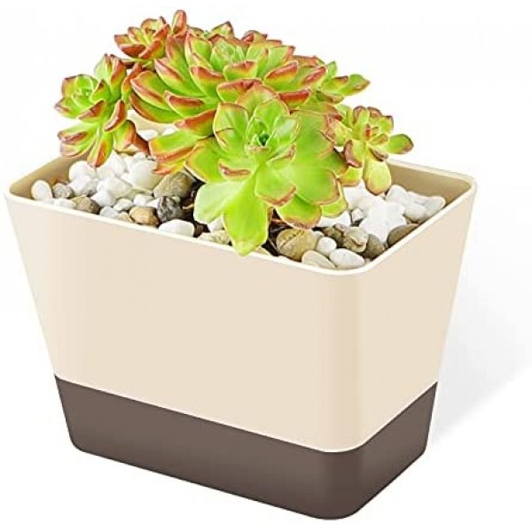 Planter Pot with Drainage, Greaner 1 Pack 6x3.8 Inch Herb Indoor Window Box with Tray, Modern Plastic Plant Flower Succulent Cactus Container for Windowsill, Garden Balcony, Home Office Outdoor Decor