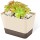 Planter Pot with Drainage, Greaner 1 Pack 6x3.8 Inch Herb Indoor Window Box with Tray, Modern Plastic Plant Flower Succulent Cactus Container for Windowsill, Garden Balcony, Home Office Outdoor Decor