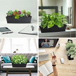 Rectangle Window Boxes, Greaner 6PCS 16x3.8 Inch Black Herb Planters with RemovableTray and Drainage Hole, Succulent Flowers Plastic Pot for Balcony, Office, Windowsill, Garden, Outdoor Decoration Use