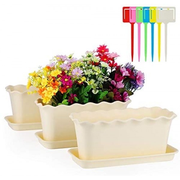 Rectangle Window Boxes for Plant, Greaner 3 Pack 12" Plastic Succulent Flower Planters with Saucer and 6 Pcs Plant Pots for Garden Planting, Home Indoor Outdoor Decoration, Windowsill, Patio, Porch