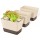 Succulent Pots with Tray, Suream 3 Pack 6 x3.8 Inch Herb Window Boxes Office Cactus Planters Plastic Rectangle Plants Containers with Saucer for Windowsill, Garden Balcony, Porch