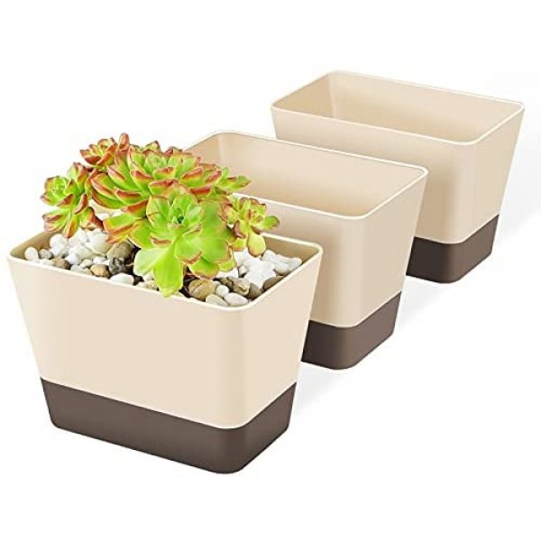 Succulent Pots with Tray, Suream 3 Pack 6 x3.8 Inch Herb Window Boxes Office Cactus Planters Plastic Rectangle Plants Containers with Saucer for Windowsill, Garden Balcony, Porch