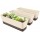 Window Box Planter, Suream 3 Pack 12x3.8 Inch Rectangle Herb Planter with Tray, Modern Indoor Small Succulent Cactus Plastic Plant Pot for Windowsill, Garden Balcony, Home Office Outdoor Decoration