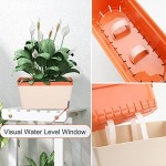 Windowsill Planter Indoor, Greaner 10.6x5.5Inch Self Watering Plant Pots, Plastic Rectangle Window Box for All House Herbs Succulents, Decorative Garden House Flower Pot, 3 Colors